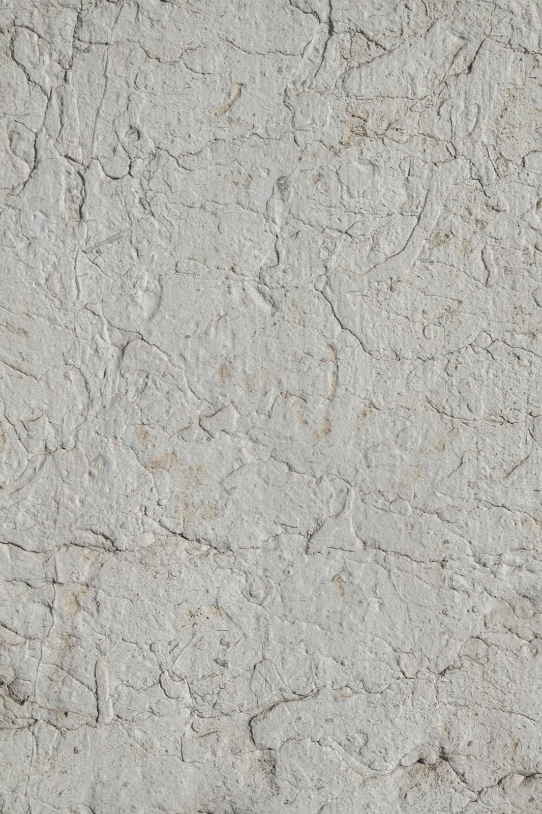 Close-up of a warm-toned textured plaster wall surface