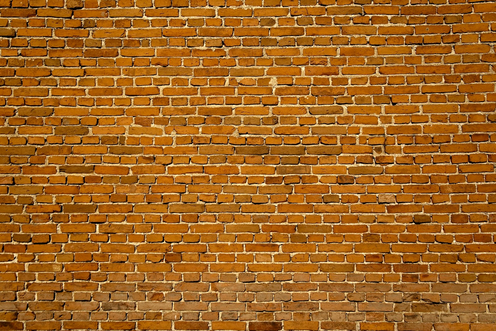 Close-up of a burnt clay wall cladding texture